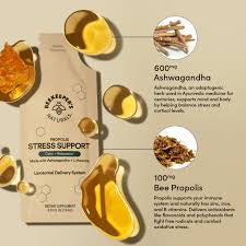 Bee Keepers Naturals | Propolis Stress Support
