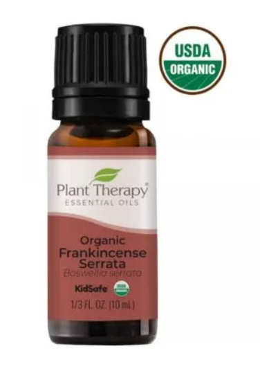 Plant Therapy | Organic Frankincense Serrata