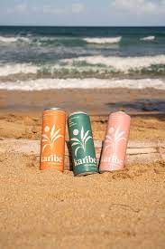 Karibe Kombucha | Local Kombucha (cans)