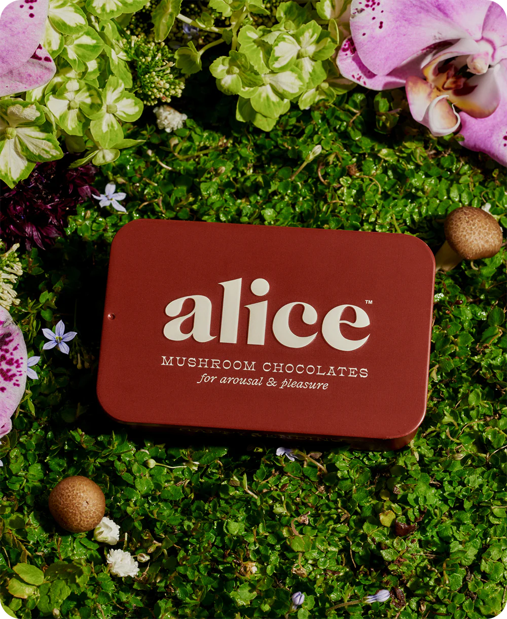 Alice | Mushroom Chocolates
