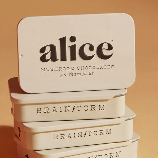 Alice | Mushroom Chocolates