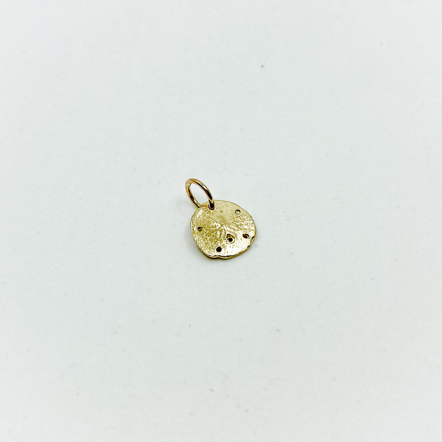 Golden Hour | 14k Gold Sand Dollar Pendant (small)