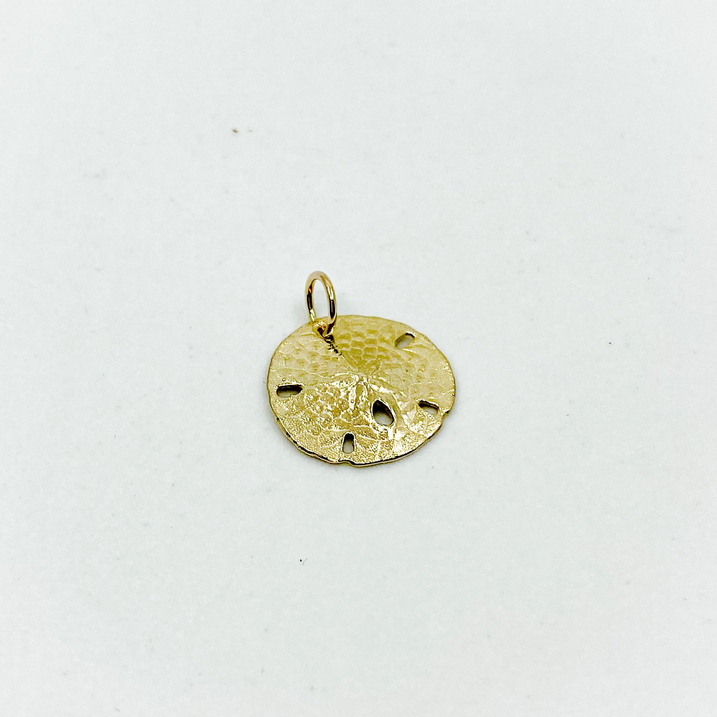 Golden Hour | 14k Gold Sand Dollar Pendant (large)
