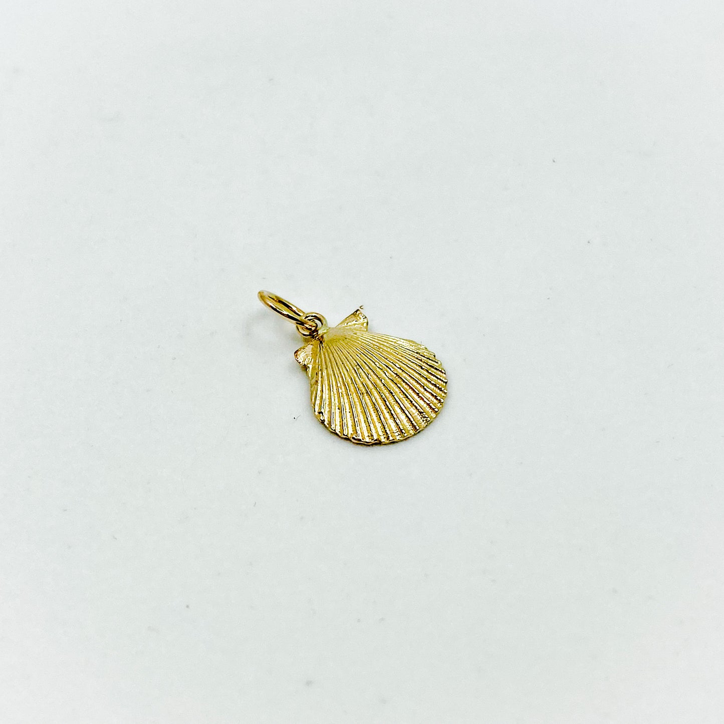 Golden Hour | 14k Scallop Pendant