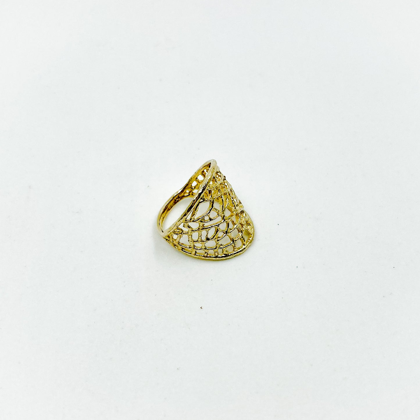 Golden Hour | 14k Gold Sea Fan Cigar Band Ring