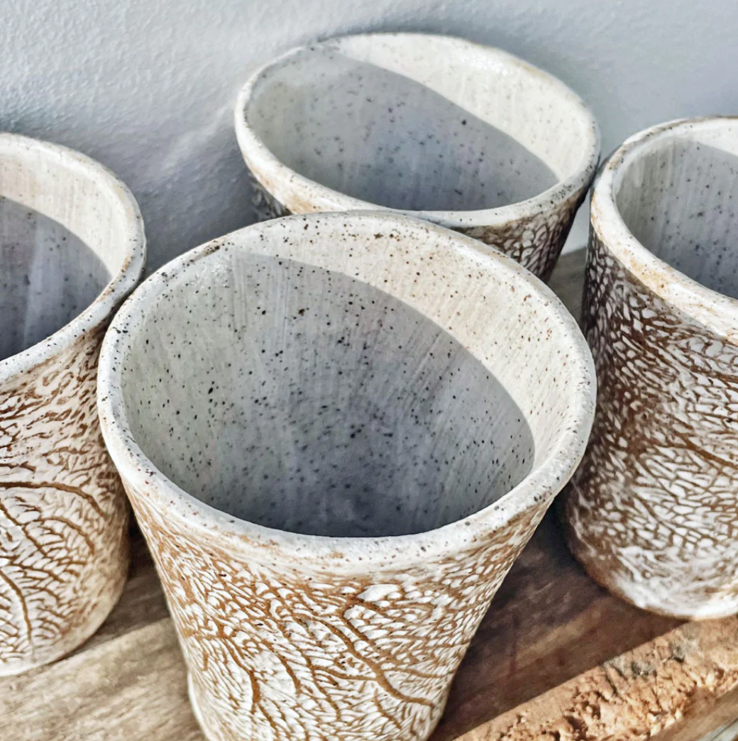Isola Bella | Seafan Coral Tumblers