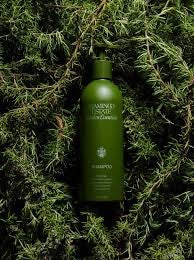 Flamingo Estate | Rosemary & Ionian Bergamot Shampoo