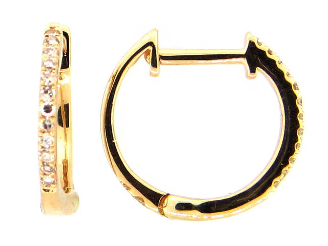 Dilamani | 14k Earrings