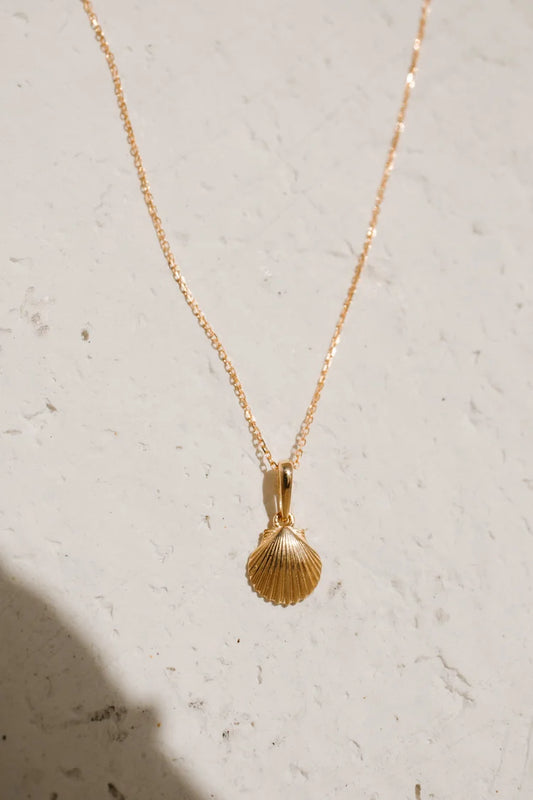 Katherine Stuart | Clam Shell Necklace