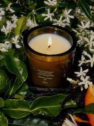 Flamingo Estate | Euphoria Candle
