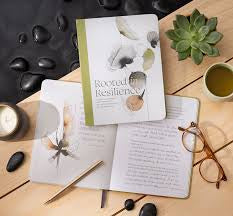Compendium | Rooted In Resilience