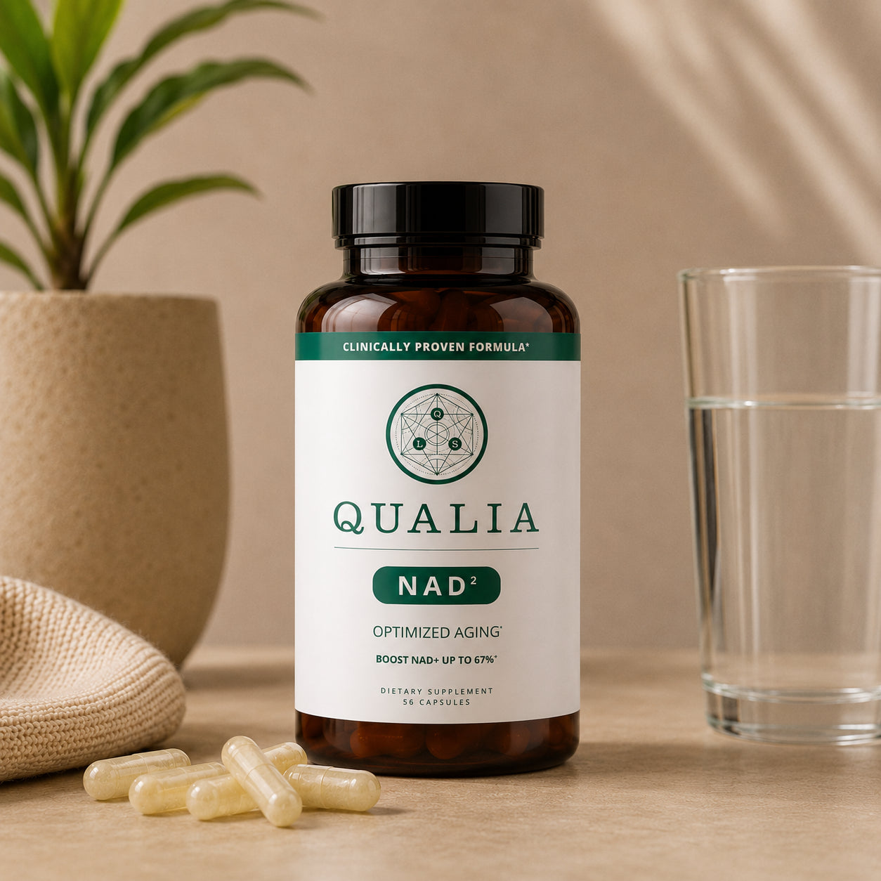 Qualia | NAD+