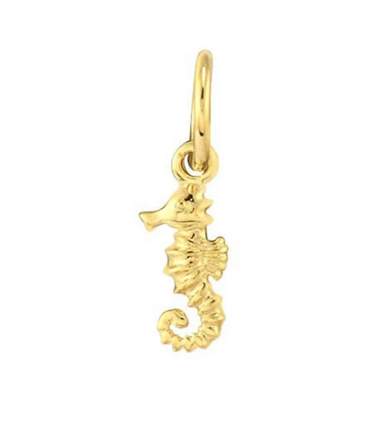 Golden Hour | 14K Yellow Gold Seahorse Charm