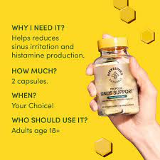 Beekeeper's Naturals | Sinus Support