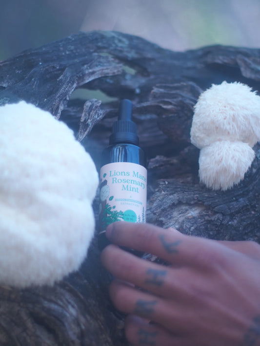 MycoSymbiotics | Lions Mane Rosemary Mint