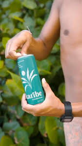Karibe Kombucha | Local Kombucha (cans)