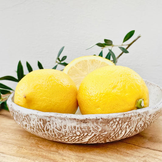 Isola Bella | Small Seafan Bowls