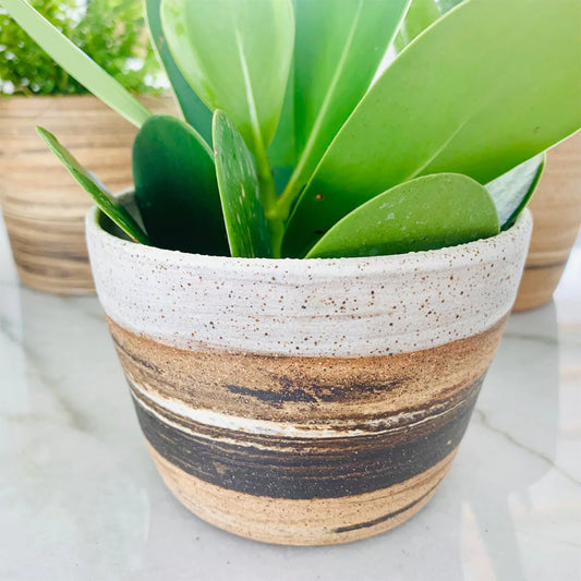 Isola Bella | Agateware Cylinder Plant Pots