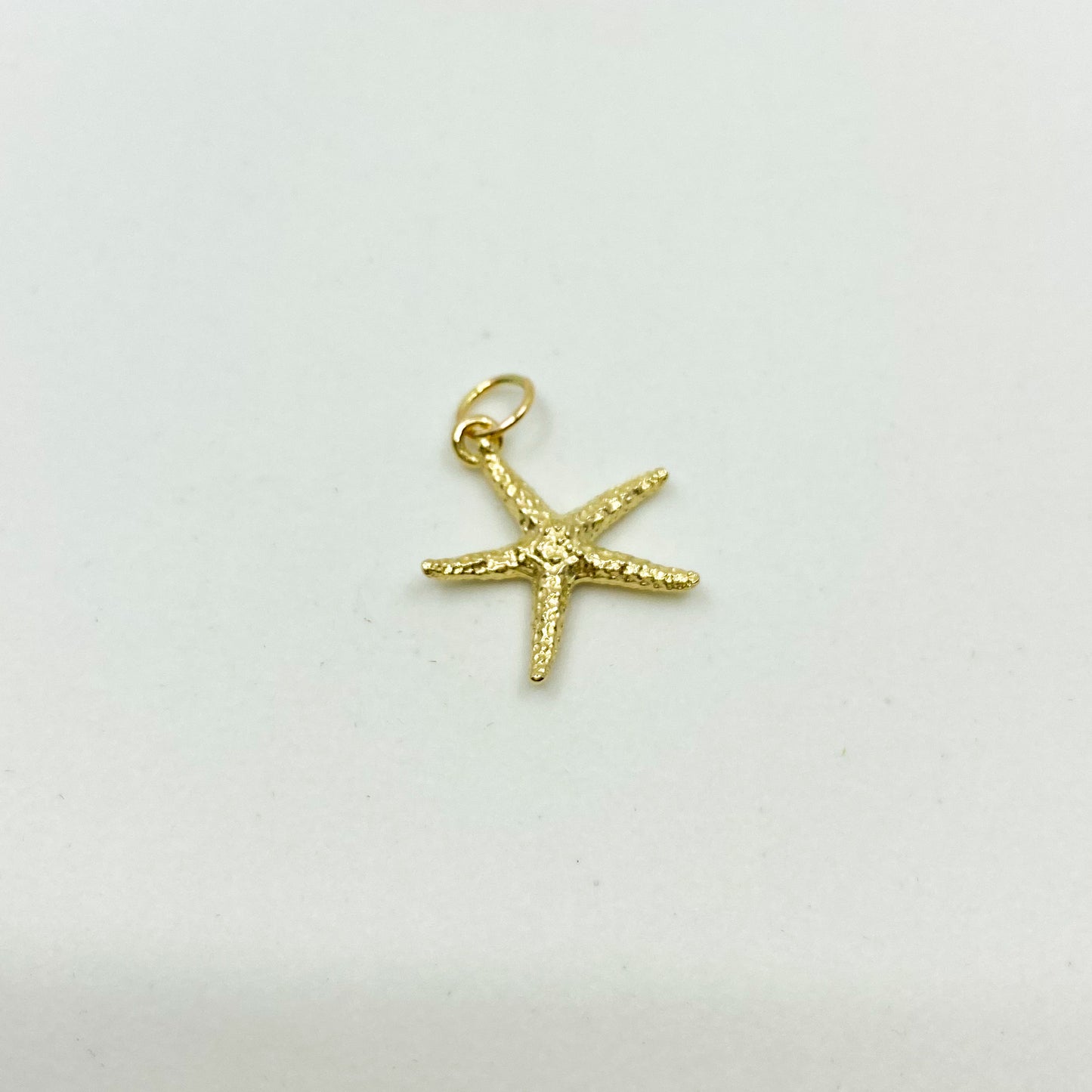 Golden Hour | 14K Gold Starfish Pendant (large)