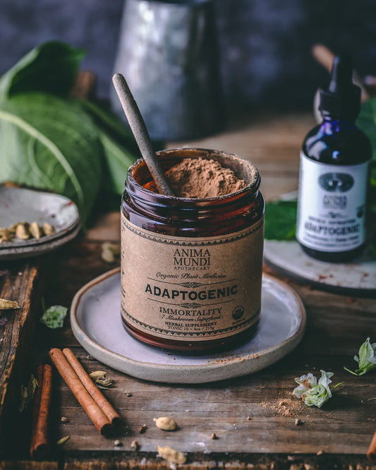 Anima Mundi | Adaptogenic 7 Medicinal Mushrooms + Cacao