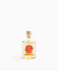 Brightland | Parasol Champagne Vinegar